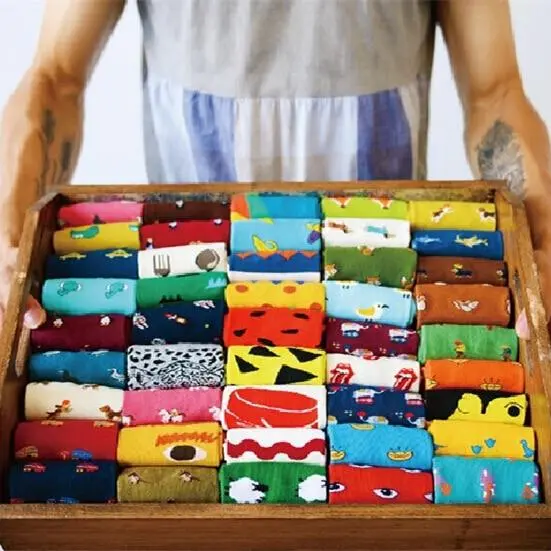 Adult Size Lovely Daily Animal Weel Socks Watermelon Dachshund Beagle Lion Farm Bull Terrier Elephant Fox Pill Fruit Dog Combo 1