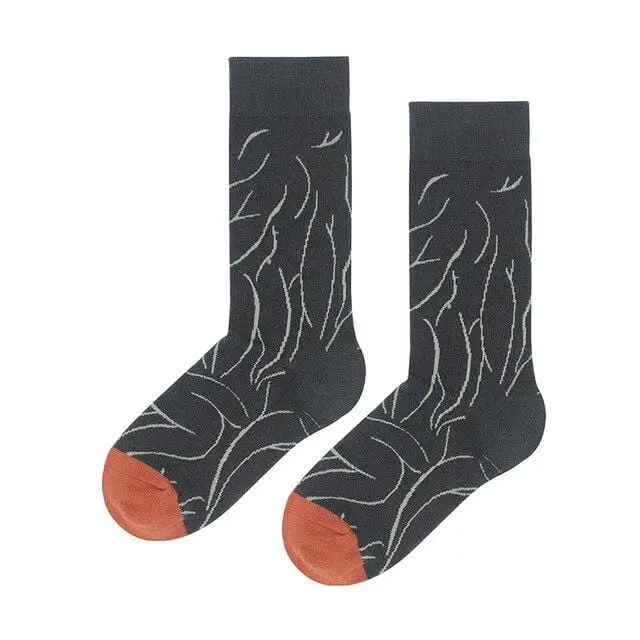 Cotton Happy Socks Women Swan Peace Pigeon Bird Animal Socks Man Colorful Picasso Art Socks Primitive Tribe Crazy Men Sock Funny 7