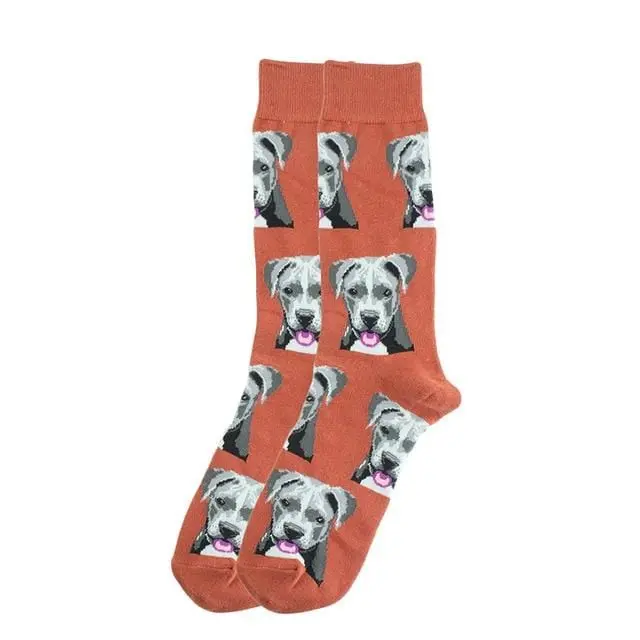 Happy Socks Fashion Hip Hop Skateboard Socks Cotton Cartoon Shark Pig Dog Food Hamburger Pizza Sushi Funny Men Women Calcetines 6