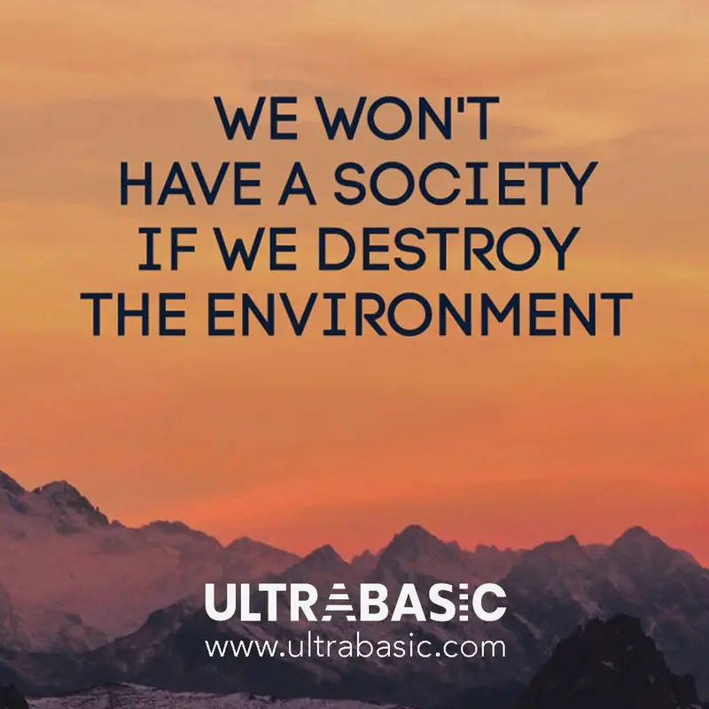 If We Destroy The Environment 1