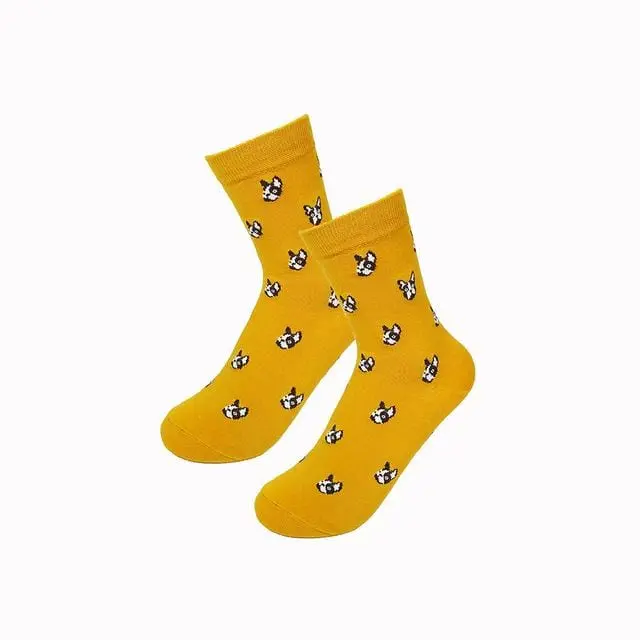 New Fashion Women Men Colorful Dog Cotton Socks Spring Couple Lover Casual Pill Fox Neutral Red Sock Hot 2
