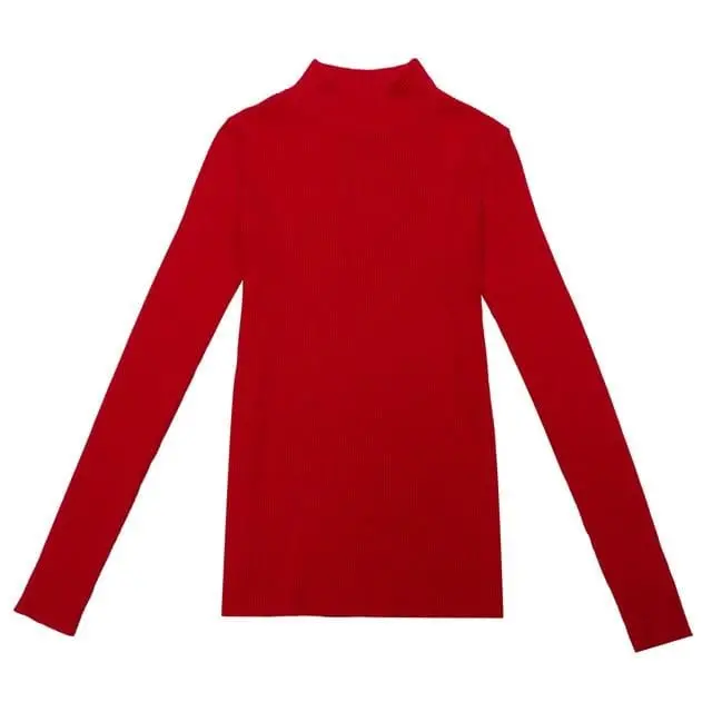 Turtleneck Ribbed Pullover – Korean Slim-Fit Long Sleeve Autumn/Winter Sweater Top