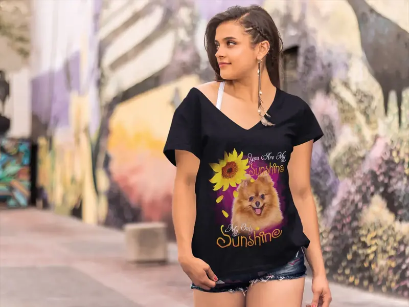 Ultrabasic Women's V-Neck T-Shirt My Only Sunshine - Pomeranian - Vintage Shirt 1